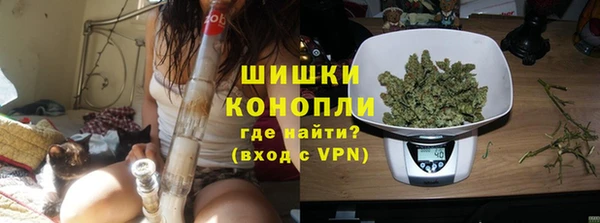 индика Магас