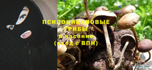 винт Медногорск