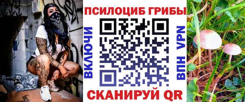 мега tor  мориарти формула  Псилоцибиновые грибы Psilocybine cubensis  Юрьевец 